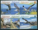 alder282