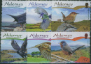 alder305