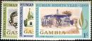 gambia231