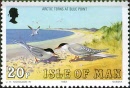 man232