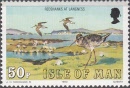 man234
