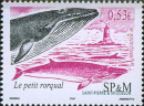 st.pier953 